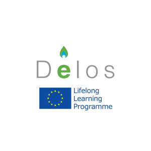 DELOS Project Wisefour