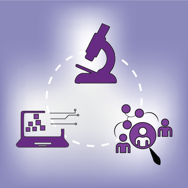 social sciences and humanities visual